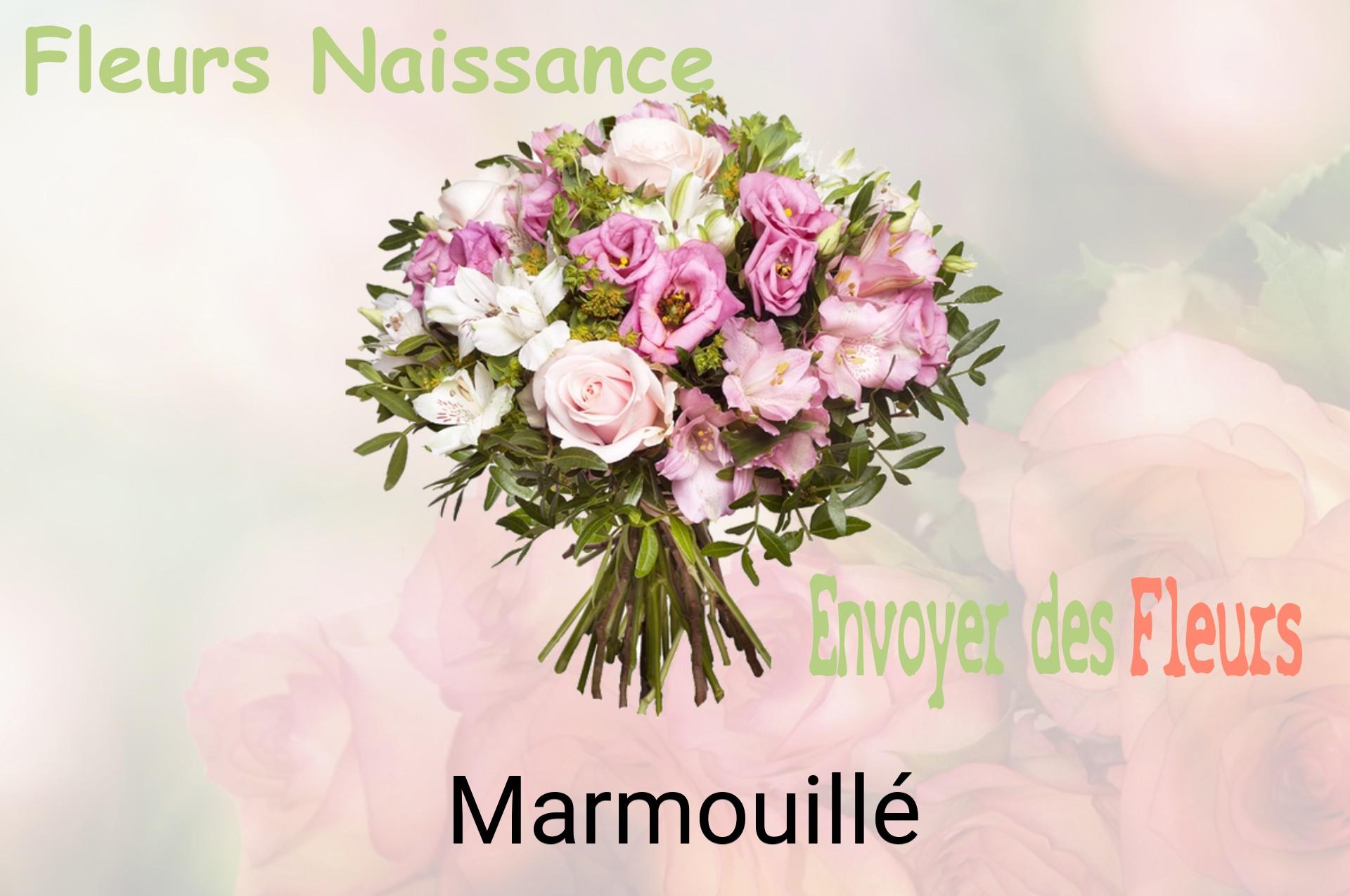 Bouquet de fleurs de naissance livré à Marmouillé